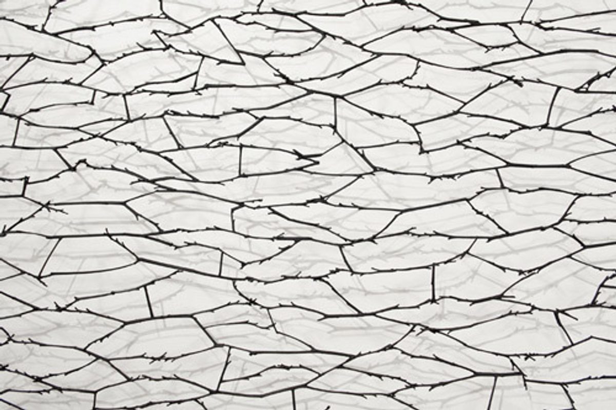 Detail Ground Cover II Cressman 1