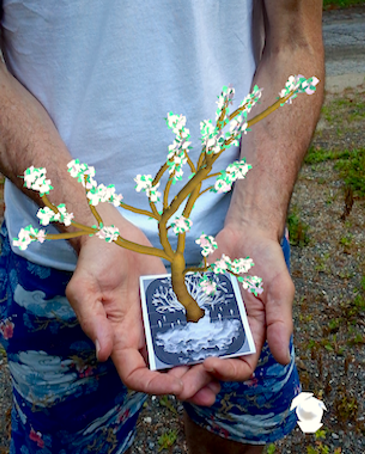 Penjing in hand 305 380 bright